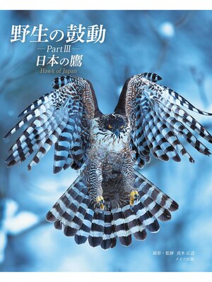 cover image of 野生の鼓動 PartⅢ 日本の鷹